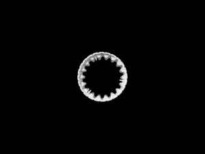 Miele Mikrofeinfilter